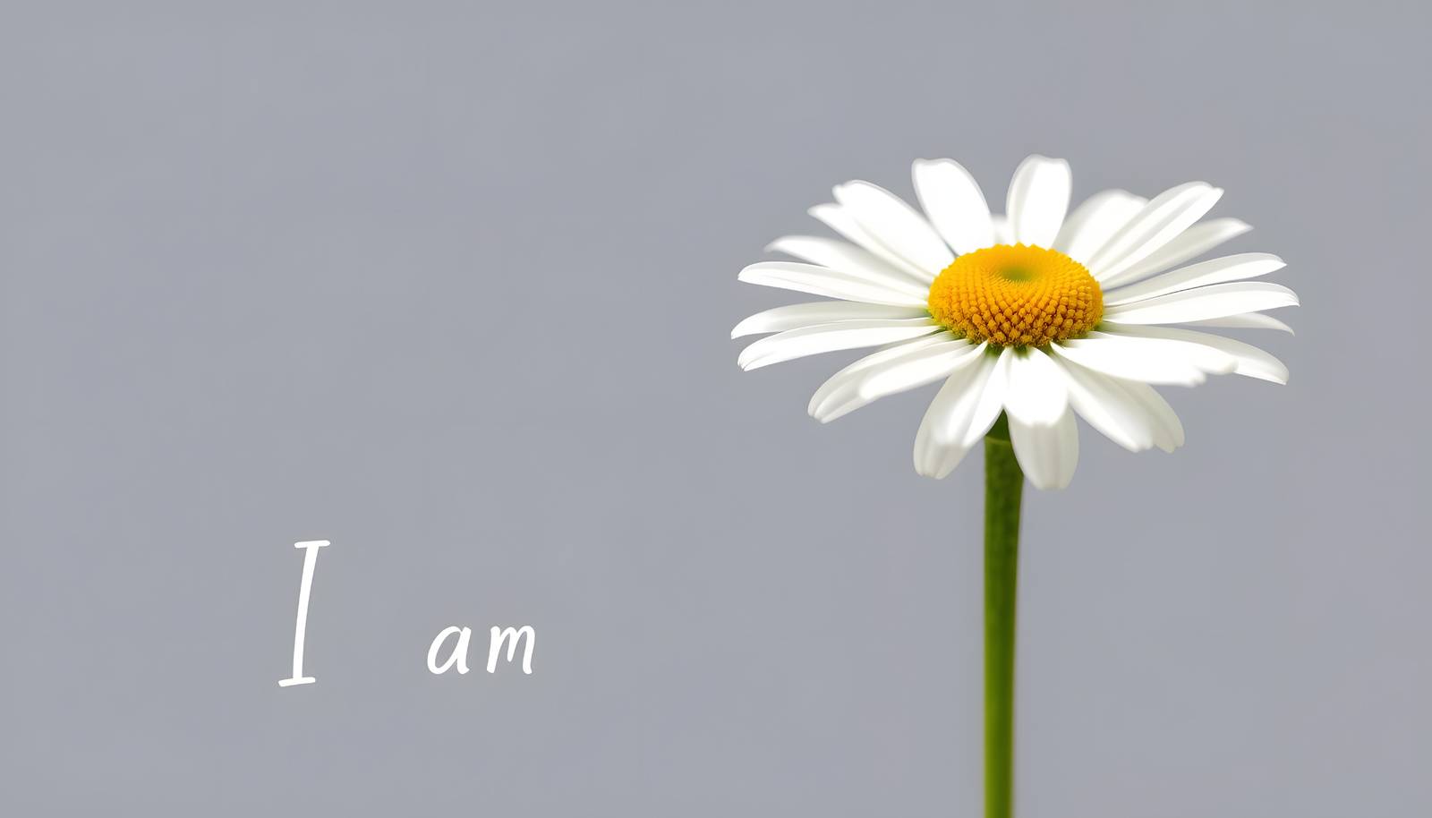 個別指導Academy_Ｉam（アカデミーアイアム）