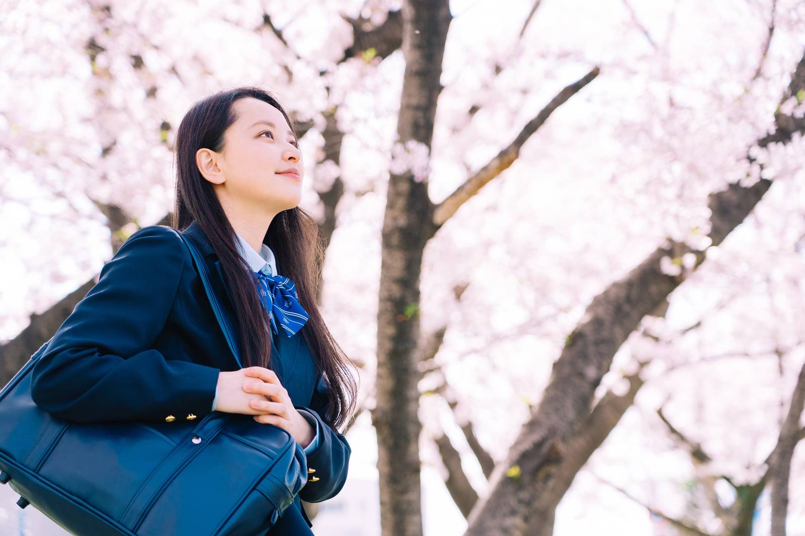 「開進塾」は学習塾から進学塾に進化しました。