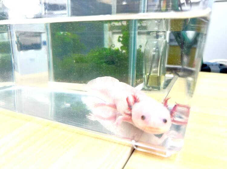 個別指導塾 トライプラス 東大宮校の画像3