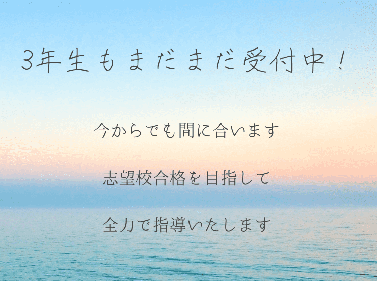 個別指導塾 トライプラス 相武台前校の画像3