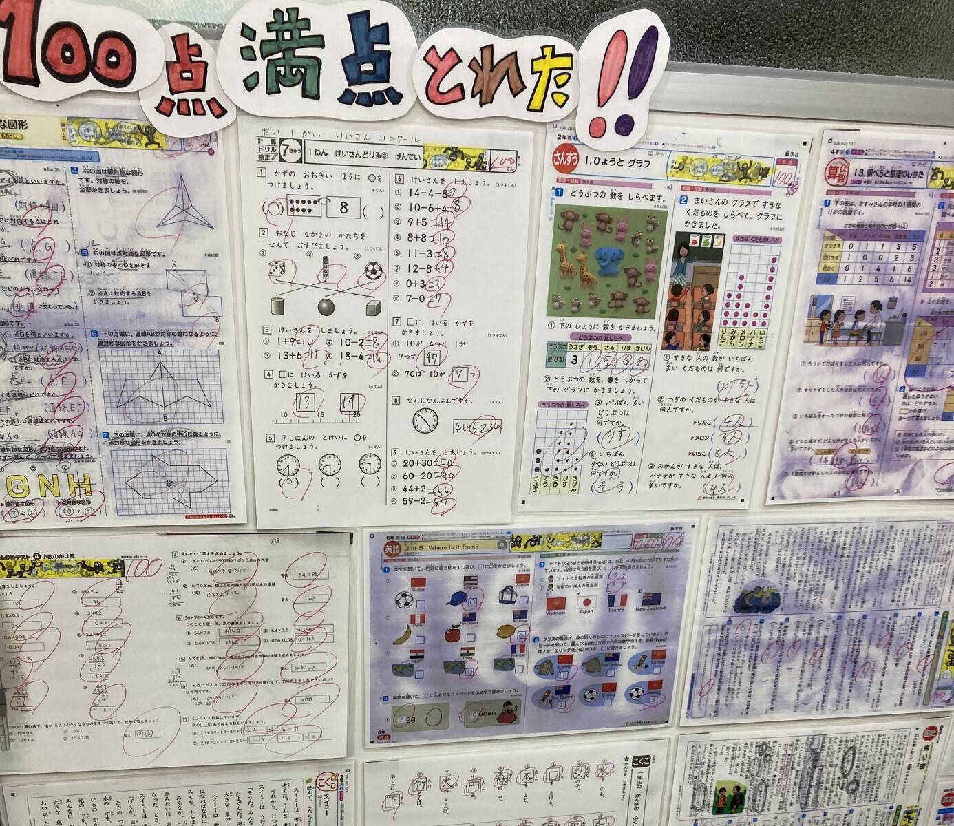 カラーテスト100点満点を持ってきてくれてます！おめでとう！