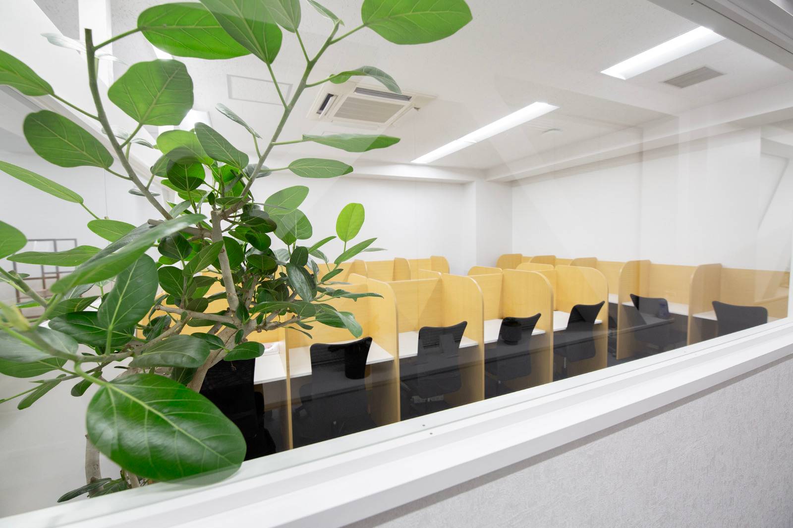 厚胤塾（こうしんじゅく） 福岡校の画像5