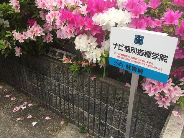 ナビ個別指導学院 河内長野校の画像5