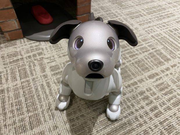 HOMES個別指導学院 MIRAI KIDS COLLEGE校（志門塾併設）の画像2