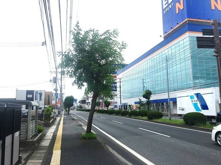 個別指導塾 トライプラス 米原校の画像2
