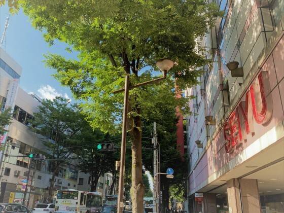 個別指導の明光義塾 阿佐ヶ谷教室の画像4